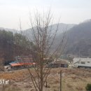 홍천토지부동산중개사무소 이미지