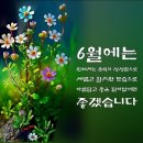 5해피
