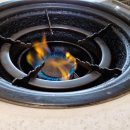 한강집생태 이미지