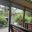 발리 림바 아야나 투숙, 락바(Rock bar) 데이베드 예약, 이용 후기(아야나 어플 이용하기)