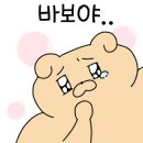 맘마독 이미지