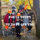 임진농협 하나로마트 | [경기 연천]평화강변수목캠핑장, 할로윈에 진심인 사람들의 할로윈 캠핑장(ft.고릴라캠핑 팬히터대여)