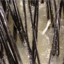 더 아름다운 한의원 이미지