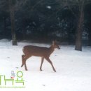 수미정원