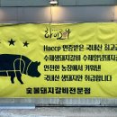 문삼이하이로우