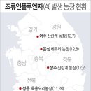 김영은농장 연합뉴스