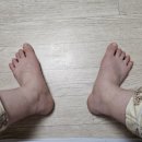 길약품 | 내돈내산 방광염 영양제 추천 일양약품 슈퍼플러스 요로케어 크랜베리 후기