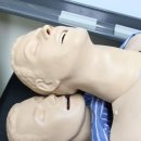 왓숑 Daum카페