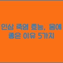 인삼죽염