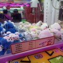 뽑기24시 이미지