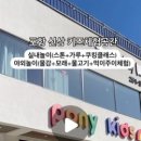 디포니 이미지