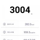 하이로하스