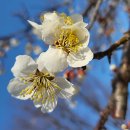 제이건강생활 수영지사 | 독서후기 (2026-33) 미우라 아야코 장편소설/ 사랑의 계단 김지숙 옮김, 문지사