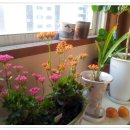 창가의 풍경 이미지