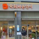 오늘은 육회 내일은 연어 | 배곧 육회맛집 육회바른연어 후기