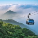 민둥산&amp; 이끼폭포&amp; 발왕산 (8/31) 이미지