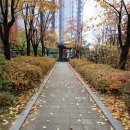 현대I파크공인중개사사무소 | 신동탄포레자이보다 가을단풍 예쁜 반월동 sk뷰파크 방문|후기