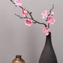 세뇨르킴