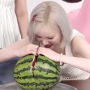 2025년 비비지 활동 결산이벤트 최종결과(릴레이퀴즈+연습퀴즈) 이미지