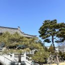 산하춘 | 청주 상견례 장소 산하춘 한정식 하정식 후기(부모님 생신 추천)