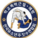페로자주짓수