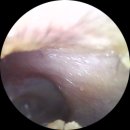 청담보청기 | 친구 소개로 다녀온 꼼꼼한 인천보청기, 부평 청담보청기 방문 후기
