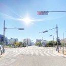 세교동 사거리 이미지