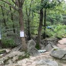 서문국수 - 제주시 서문로 72-2 | 서문국수