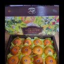 신세계농장 이미지