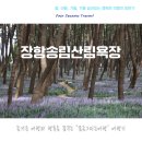 송림숲화장실 | 장항송림산림욕장 보라빛 맥문동 지금은 제3주차장