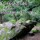 치악산둘레길 8코스 거북바우길 | 치악산둘레길 8,9코스
