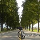 고달교 밑 이미지