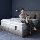 알레르망스핑크스 - 8724 | 알레르망스핑크스