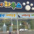 금개하우스 이미지