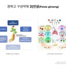 봄꽃한의원 네이버블로그