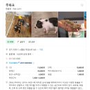 포천 아이랑 가볼만한곳, 동물 안고 교감하는 주파크 후기