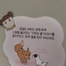TOON PC | [성수 팝업스토어 10월 마루는 강쥐 팝업 사전 예약] 굿즈 후기 | 기적의 별, 네이버 팝업 예약 팁