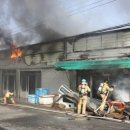 대원오토바이 이미지