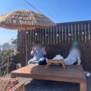 조천 제방화장실3 | 제주 조천 디저트 카페 이녁이랑 반려견동반 구옥카페 후기