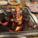경주TMF한우식당 - 2803 | 경주 소고기 맛집 TMF한우셀프식당 후기