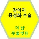 더샵동물메디컬센터 이미지