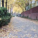 한글비석길 이미지