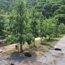 선리농장 이미지