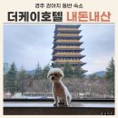 케이호텔 | 경주 애견동반 숙소 더케이호텔 내돈내산 후기 (1) 강아지 동반 정보 &amp; 주의사항 (feat. 카페 케렌시아)