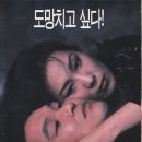 초록물고기