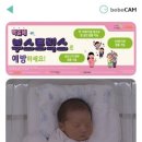 더올리비에르 이미지