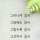 우리말 겨루기 551회 시청 후기