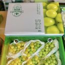 재우농장 이미지