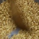 약초본가제분소 이미지