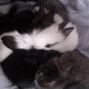 풀우빈농장 이미지